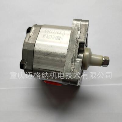 瑞克梅尔齿轮泵R25712.5FL-Z-R-S0330087-8现货