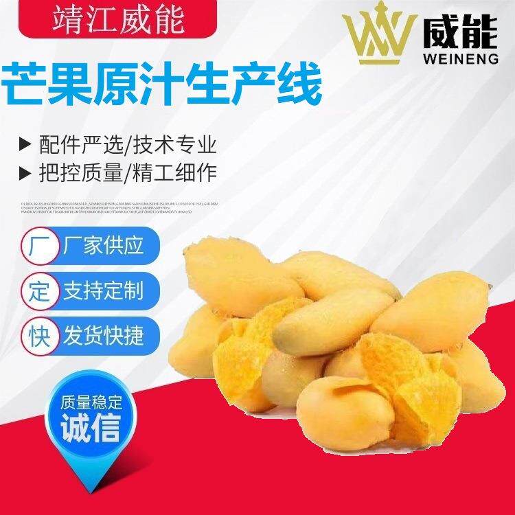 厂家直销大型工业商用不锈钢优质的芒果原汁生产线