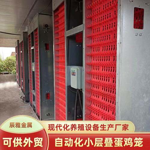 小层叠蛋鸡全自动收集清理粪便集蛋养殖场大棚用养殖笼畜牧设备