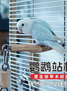 鹦鹉站杆铁甲木磨嘴鸟笼站杆站棍自然树枝玄凤牡丹虎皮站杆可定制