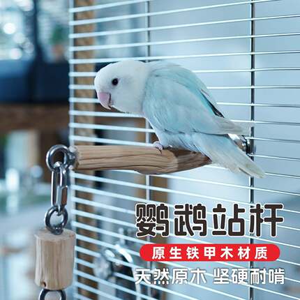 鹦鹉站杆铁甲木磨嘴鸟笼站杆站棍自然树枝玄凤牡丹虎皮站杆可定制