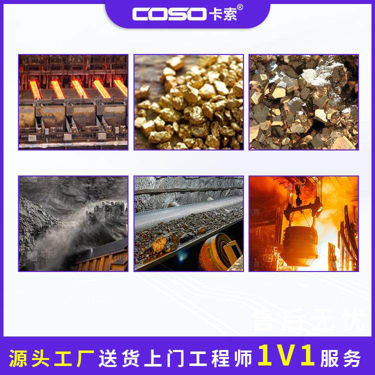 炼钢铜矿金矿器铝热电厂电煤输矿送在线金属检测机仪金属仪探SEC1