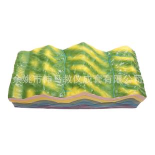 褶皱构造及其地貌演变模型地层结构演示装置 地理学演示模型