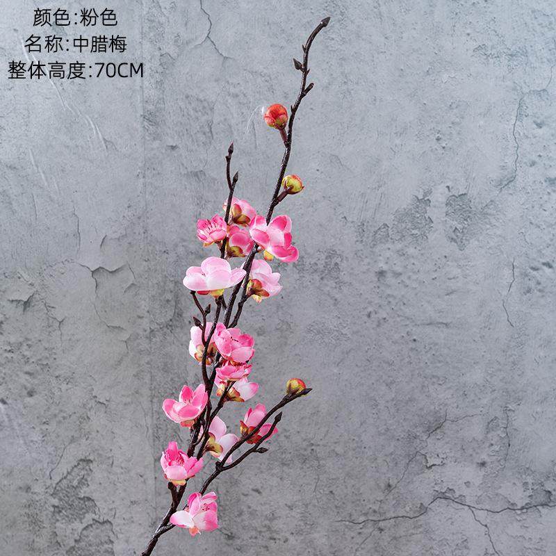 春三月舞蹈花枝道具寒依疏影手拿花仿真梅花枝条桃花干花舞台道具,鲜花速递/花卉仿真/绿植园艺,仿真花,淘宝优惠券,粉丝福利购,淘宝优惠卷