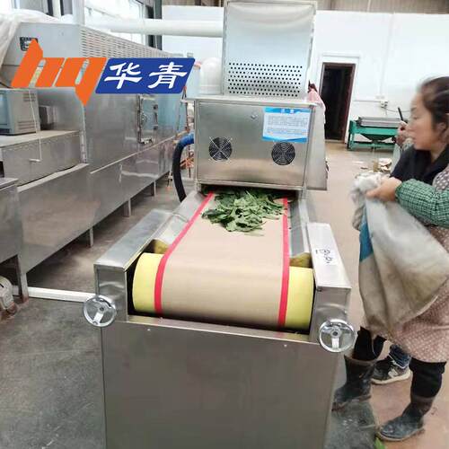 杀青机多种茶叶适用隧道式微波贵州绿茶安吉白茶加工机械微波加热