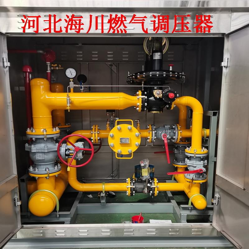 D5器N20燃气调压器天气管道永良调压然DN65间接式调压器减压阀调