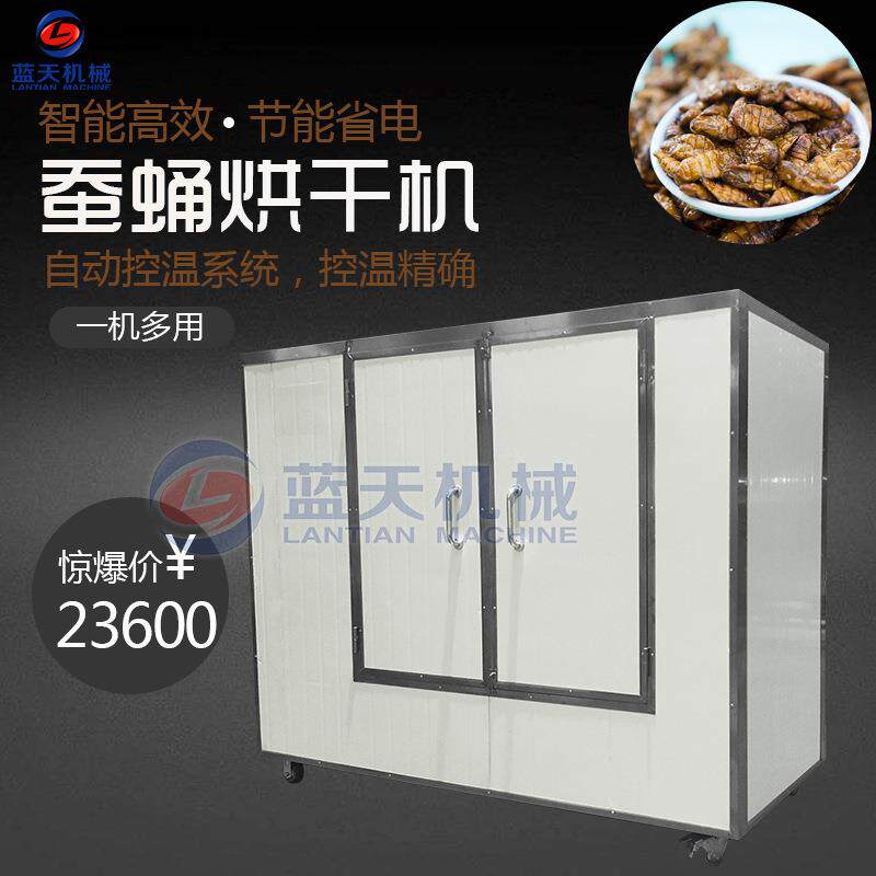 蚕蛹烘干机新鲜黄蚕蛹烘干箱桑蚕蛹金丝蛹热风循环干燥设备