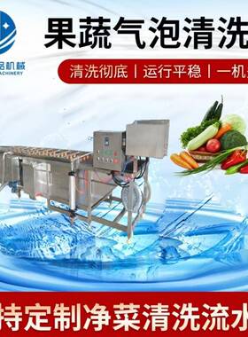 龙门提升式气泡清洗机水果蔬菜清洗机器去农残清洗设备