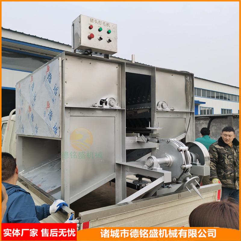 浸烫型鲜猪头褪毛设备浙江衢州猪脸打毛机抛整个猪头毛机器