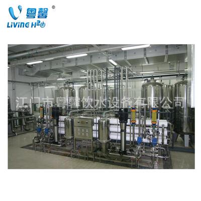 去离子水设备 离子交换设备 反渗透纯水设备 全套原水处理设备