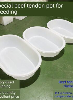 牛筋加厚食品级浸洗收纳长盆椭圆形水产养殖熟料卖鱼虾蟹菜场用盆