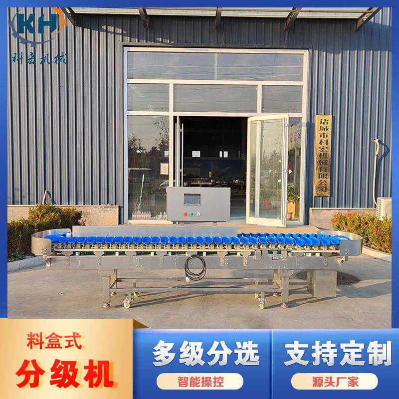 鲈鱼黄花鱼自动称重设备鲍鱼海参重量分级机螃蟹大闸蟹分拣机
