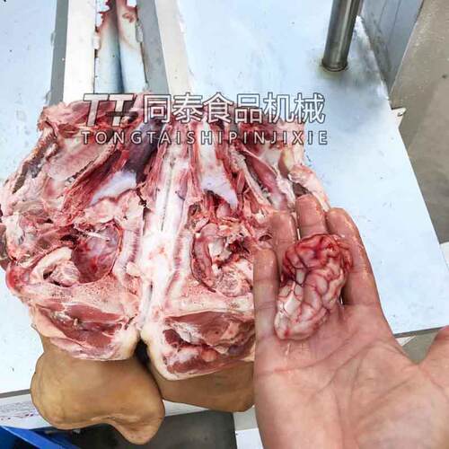 诸城食品机械供应猪头劈半机、羊头劈半机、牛头劈半机设备