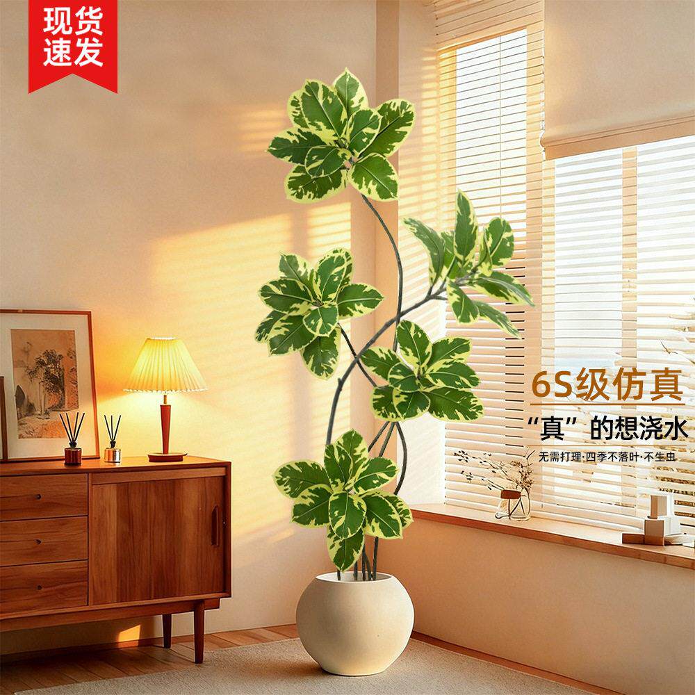 仿真绿植黄金榕橡皮树级感客厅室内装饰摆件假树仿生植物盆栽