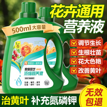 花卉营养液水培植物通用型养花肥料发财树室内盆栽绿萝多肉蝴蝶兰