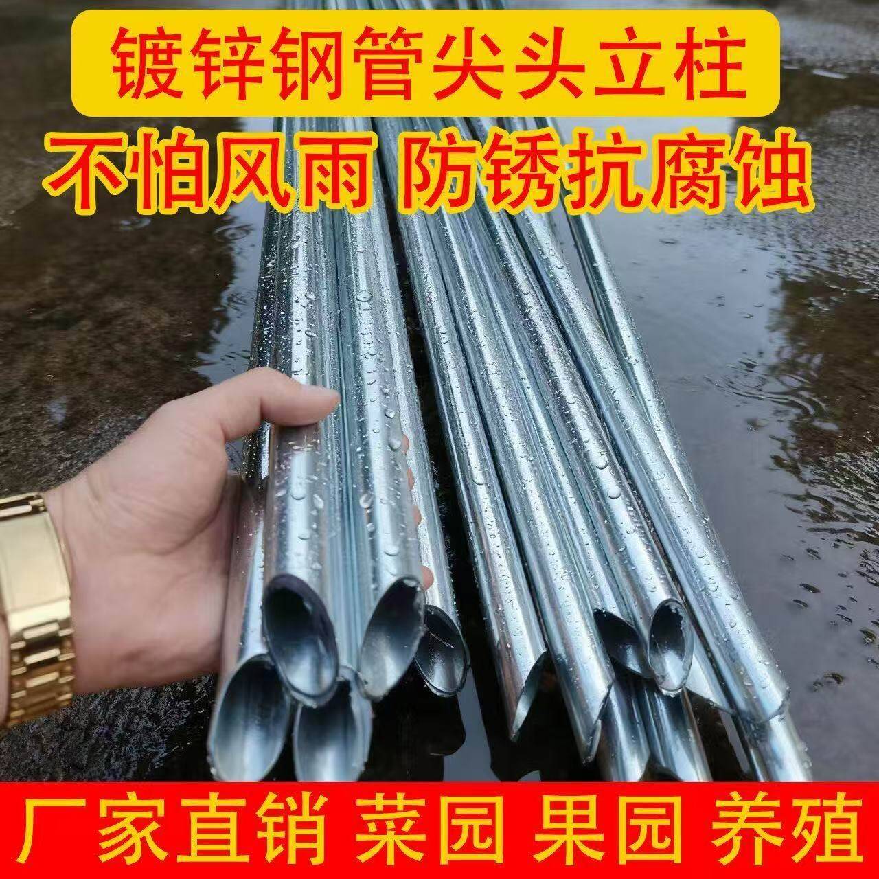 镀锌加厚尖头钢管立柱铁丝网围栏圆管户外防锈铁柱栏杆养殖围栏网