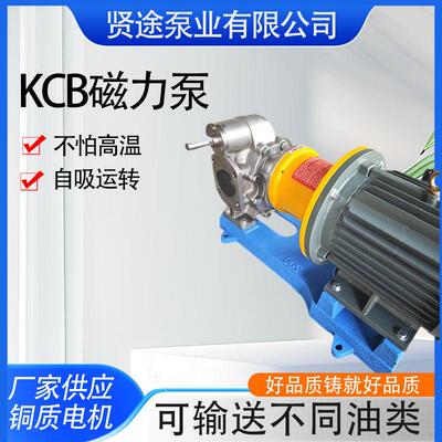 KCB磁力泵柴油机油沥青胶水聚氨酯稠油白油齿轮泵304材质耐腐蚀泵
