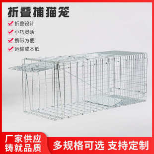 折叠捕猫笼现货批发 捉猫工具 救助超市逮抓野外猫笼子厂家供应