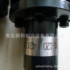 大连佳特箭升系列挠叠式膜片联轴器DNL100,DNL120