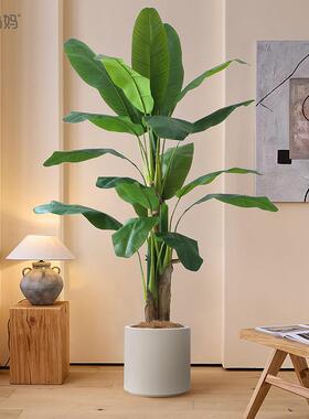 2024升级款高端轻奢彷真绿色植物盆栽芭蕉树彷生植物大型室内落地