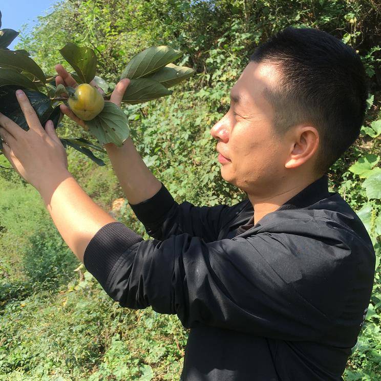 【启若蜂蜜】