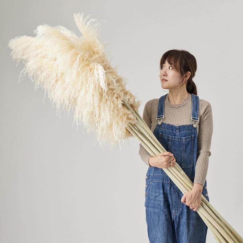 久伴天然芦苇干花花束真花树枝客厅桌面装饰摆件侘寂复古轻奢高级