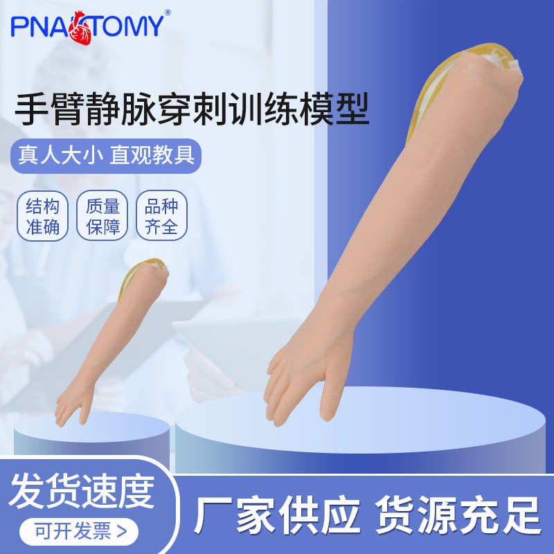 手臂静脉穿刺训练模型肌肉注射训练手臂模型护士抽血打针练习模具