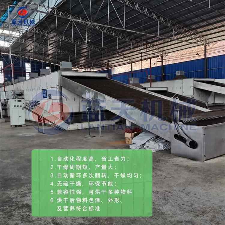 红烘红干薯网带薯清洗切LT-WDHSH条机蒸煮烘干生产线地瓜蜜薯条烘