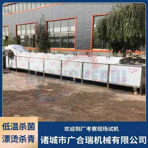 菌黑水灭虻低温杀酸GHR-76流水线 香椿芽菜巴氏漂汤菌机 酵素果冻