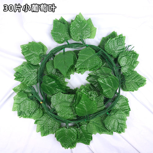 爬山虎仿真藤条植物葡萄仿真绿植