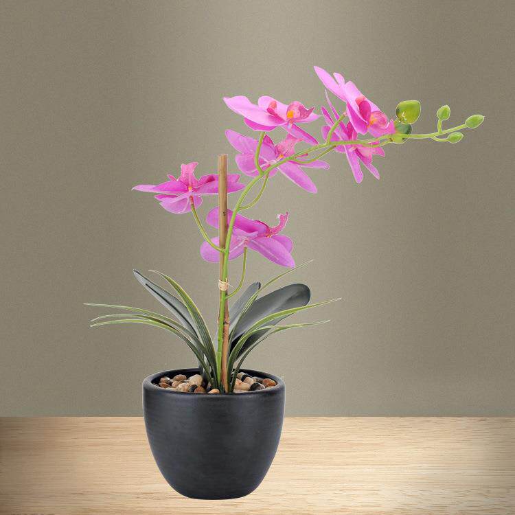 仿真富贵竹假花 家居客厅装饰植物 假富贵竹子可护眼室内绿植盆栽