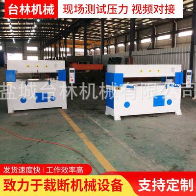双边自动进料精密液压四柱裁断机吸塑珍珠棉包装下料机