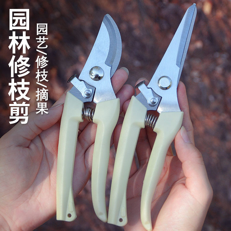 不锈钢花剪修枝剪树枝剪刀园艺剪刀粗枝剪园林剪果树嫁接剪省力剪