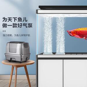 新款直销小型增氧泵卖鱼增氧机海鲜鱼池充氧泵大功率打氧鱼缸氧气
