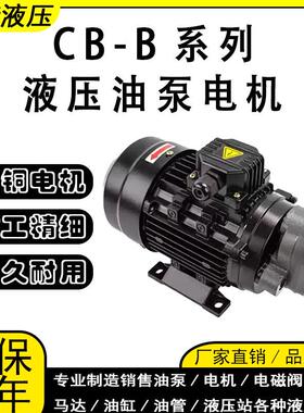 液压齿轮油泵CB-B4/B6/B10/16润滑油泵0.37/0.55KW锯床油泵电机组