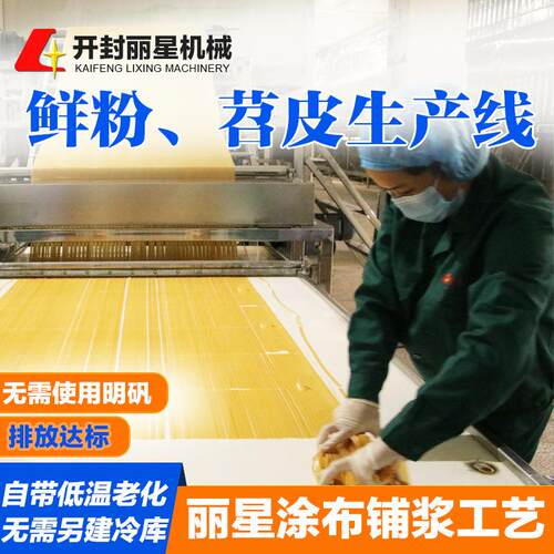 火锅宽粉加工设备鲜粉、苕皮生产机器多种规格支持多样化生产