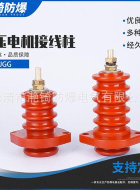 防爆压电机接线柱 引线型号JGG镀银铜芯（6KV-10KV）铜螺杆M12