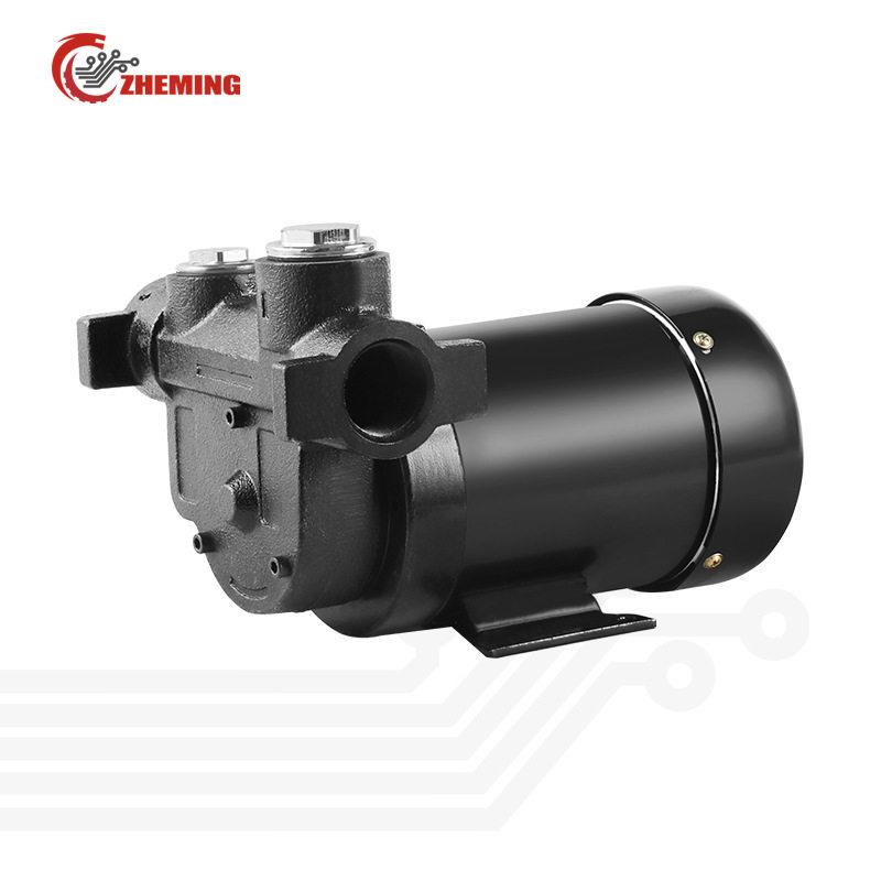 直流加油泵12v24v550w柴油煤油抽电动加油泵DCrefuelingpump