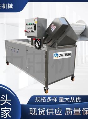 厂家生产鼓泡净化洗果机喷淋全自动多功能家用商用果蔬臭氧洗菜机
