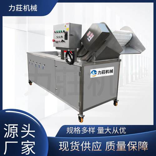 厂家生产鼓泡净化洗果机喷淋全自动多功能家用商用果蔬臭氧洗菜机
