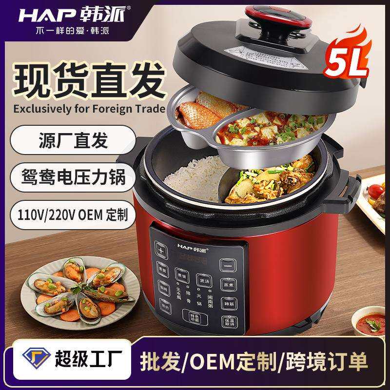 2025新款电压力锅5升多功能家用一锅双胆铝合金大容量现货直发