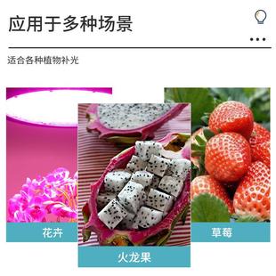 ED物生长灯全光谱功率育苗L灯多肉蔬大菜大棚吊装 UFO植飞碟XXR补
