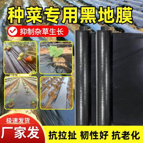 地膜种菜专用黑色加厚农用种植塑料薄膜防草布除草保温膜地钉