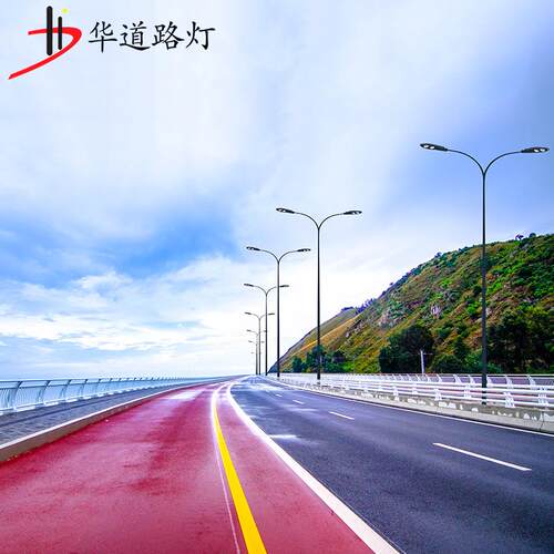 【工厂】LED双臂市电路灯 双头路灯 6米-12米 市政道路照明