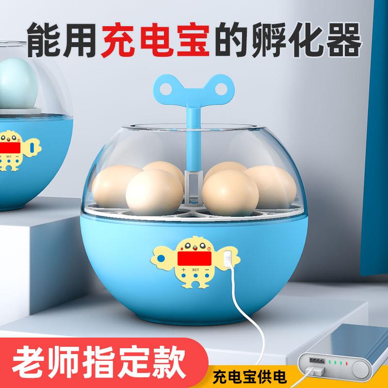 孵化器小型科教款家用迷你孵化机儿童早教恒温5~6枚鸟蛋孵化
