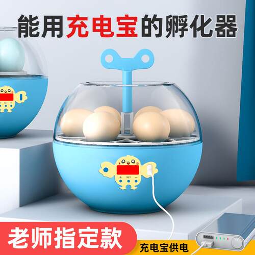 孵化器小型科教款家用迷你孵化机儿童早教恒温5~6枚鸟蛋孵化