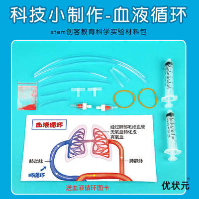 心脏血液循环模型diy人体小学生科普生物科学实验发明创造幼儿园
