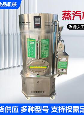蒸汽机锅炉全自动节能蒸汽发生器不锈钢锅炉商用工业蒸汽机