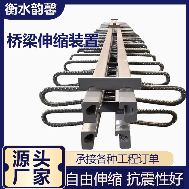 公路桥梁伸缩缝变形缝梳齿板异形伸缩装置型钢板缝橡胶条填缝支座