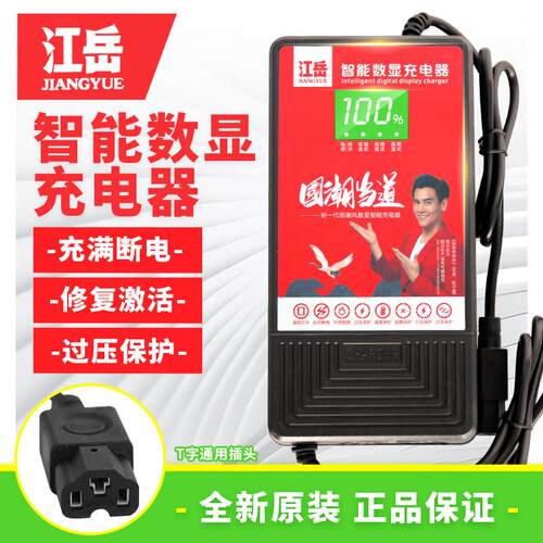 江岳智能数显充电器 48V60V72V通用充满断电 适用两轮三轮车的T型